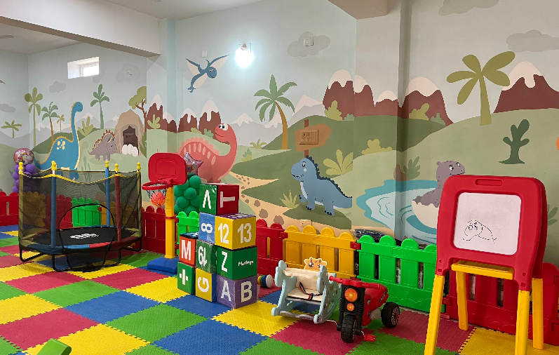 American Junior International School Contact